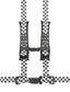 PRP 4.2 Harness